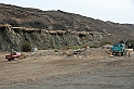 Kanary_2010 014